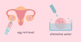 供卵孕妇起湿疹了有什么? 供卵孕妇起湿疹了有什么?