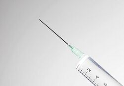 十五个月借卵宝宝发育标准,全面了解借卵宝宝成长里程碑 十五个月借卵宝宝发育标准,全面了解借卵宝宝成长里程碑
