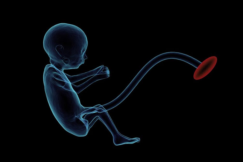 代怀初期如何科学运动