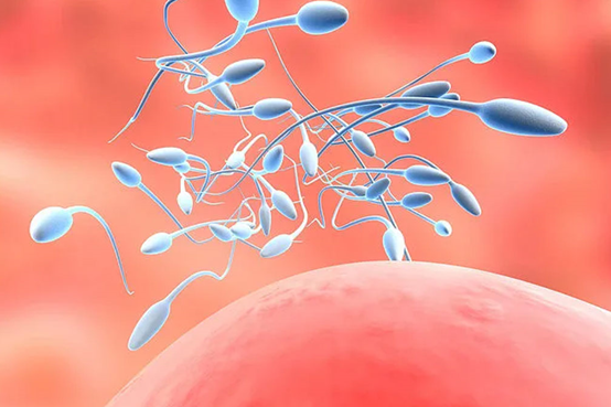 借卵宝宝成长之路，借卵宝宝没那么容易胎停