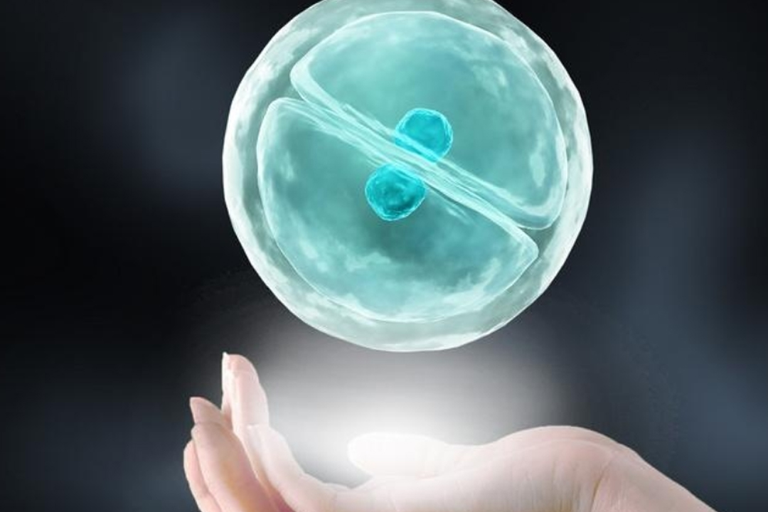 早期代怀症状之腰酸的那些事 早期代怀症状之腰酸的那些事