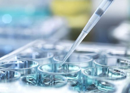 呵护成长，6个月借卵宝宝喝水的重要性与注意事项