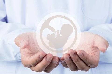 (代代怀妇)供卵孕妇尿检白细胞3+,解读与应对策略
