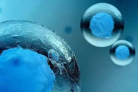 借卵宝宝奶量计算公式的探索与解读