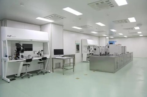 代怀多久开始着床？全面解析受孕后胚胎着床过程