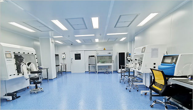 七个月借卵宝宝身高发育的奥秘